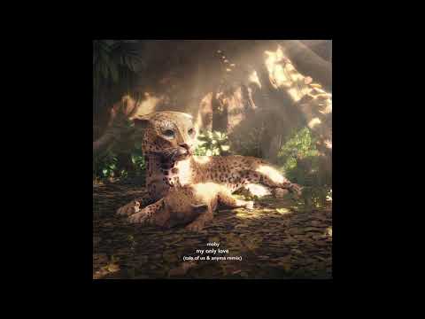 Moby - My Only Love (Tale Of Us & Anyma Remix) | Official Audio