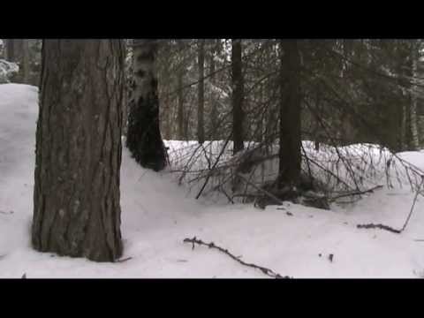 6.4.12 ulkoilu jatkuu