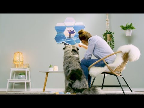 Ontdek hexxas: persoonlijk, flexibel en modern - CEWE