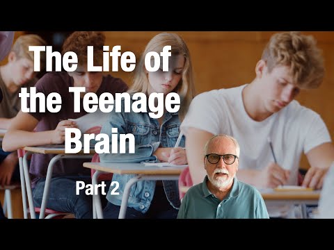The Secret Life of the Adolescent Brain: The Work of Sarah-Jayne Blakemore