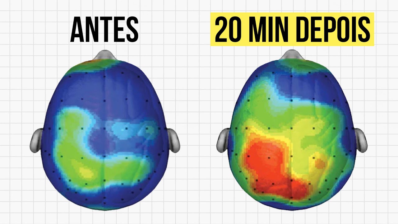 O Hábito PREFERIDO dos Gênios Que Vai Mudar Seu Cérebro Em 20 Minutos