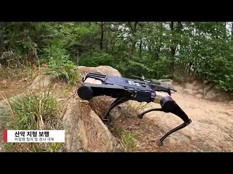 레인보우로보틱스 사족보행 RBQ 10 AI 보행