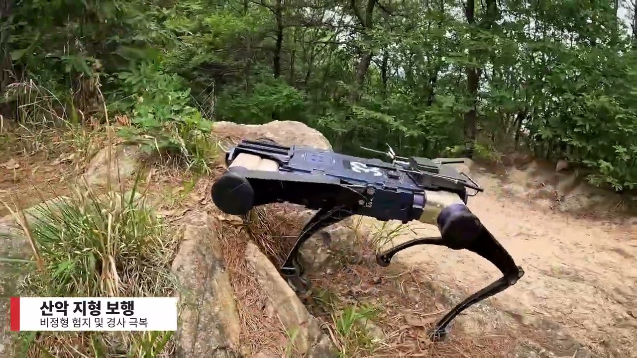 Rainbow Robotics RBQ 10 Quadruped Robot: AI Walking