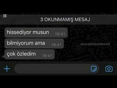 At gibi giden İT GİBİ DÖNER 