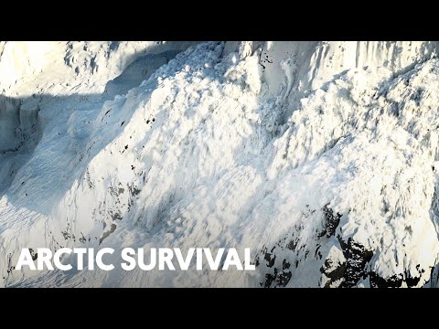 5 Reasons Life in the Arctic Circle Is Brutal