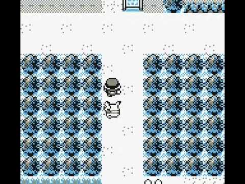 Level 1 Pokemon to level 100 instantly (Yellow)