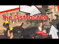 The Distraction - WWE Cruiserweight Championship Belt