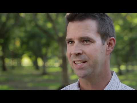 download lagu mp3 mp4 Walnut Varieties In California, download lagu Walnut Varieties In California gratis, unduh video klip Walnut Varieties In California