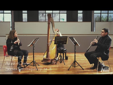 E. Kohler - Au Vol D'Oiseau Scenes - Pittoresques Op.  98