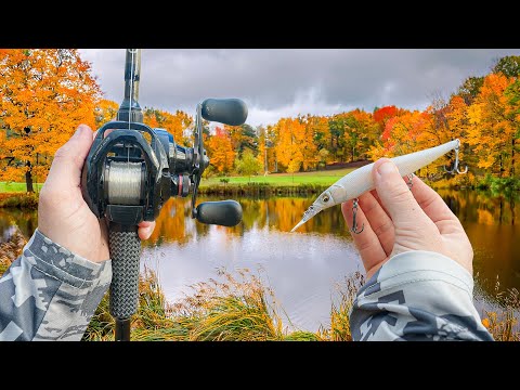 Fishing With My FAVORITE Lures For Big BASS (Best Baits)