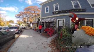 preview picture of video 'Scratch Baking Co,  Maine'