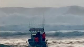 MASSIVE SEA‼️ MQDEFAULT Thumbnail