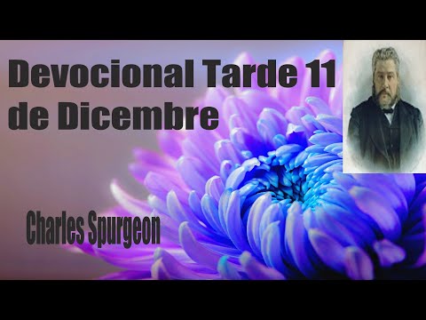 Devocional "Charles Spurgeon" Tarde 11 de Dicembre - Colosenses 3:24