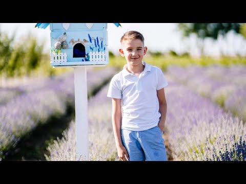 Denis Morosan - Vals (cover Smiley)                                  Academia de Arte Modus Vivendi