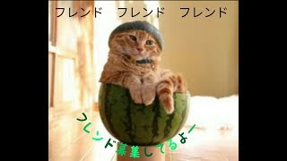 Wiiuでフレンド募集しています。
