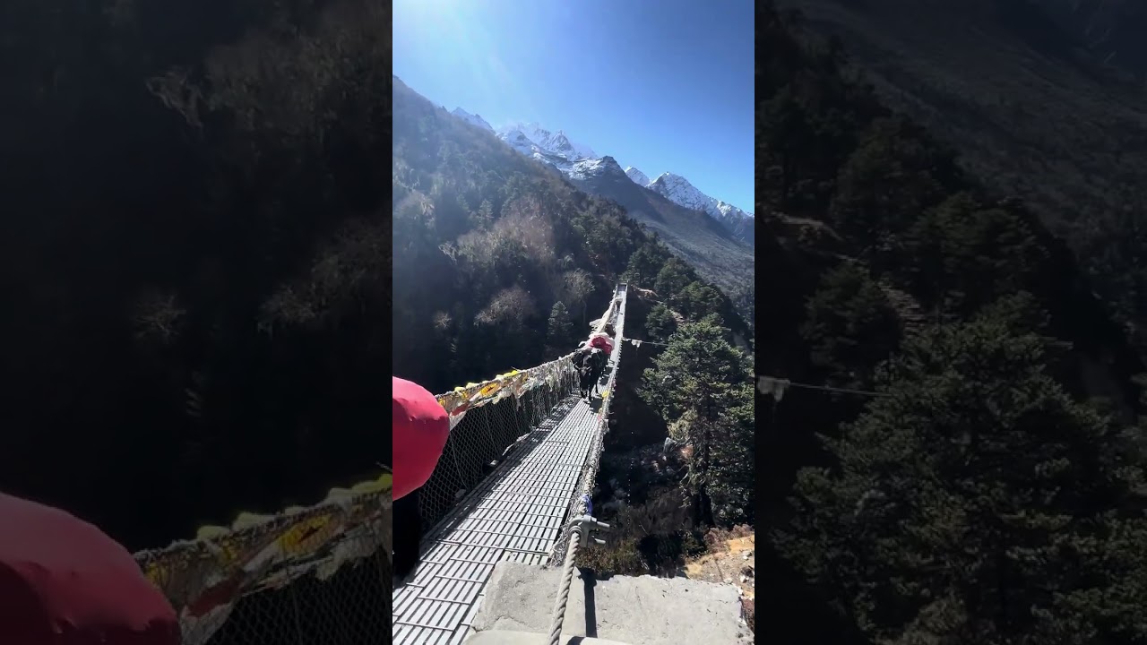 Yaks Crossing a Suspension Bridge (Everest Base Camp Trek)