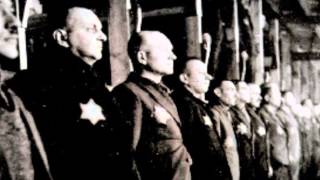 Aaron Halevy—"Peat Bog Soilders"