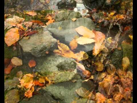 Jakov Drenkovski - Skitnik