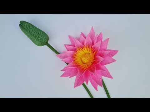 How to make Water Lily from crepe paper / Paper Flower / Góc nhỏ Handmade