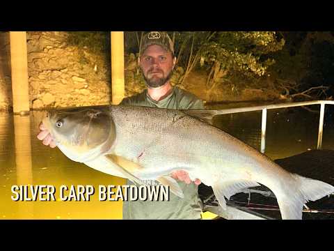 JUMBO FLYING CARP! Crazy Bowfishing Shots