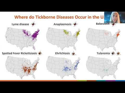 Disease Vectors of the U.S.A. pt. 2: Ticks and the Diseases They Carry