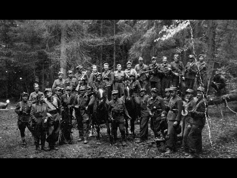 Kto się boi pamięci o Józefie Kurasiu ps. "Ogień"?