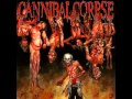 Cannibal Corpse - Torture (Download link in ...