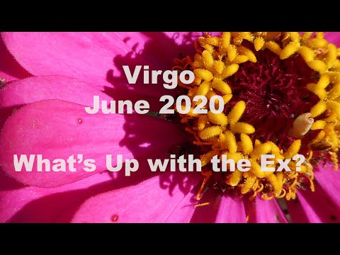 Virgo LOOKING FOR LOVE IN ALL THE WRONG PLACES Mid-June 2020 What's Up With the EX? Tarot Reading