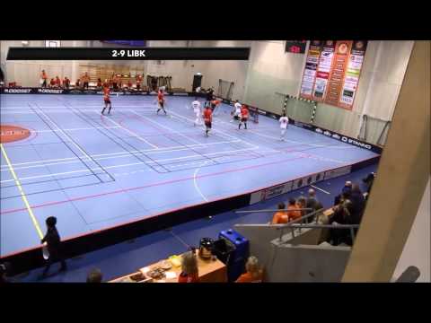 Höllviken-LIBK 070315