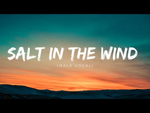 SALT IN THE WIND  (VERSION 2) |  MALE VOCAL |  OFFICIAL MUSIC VIDEO