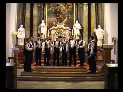 klapa dubrava - murtilica, lipo cviće