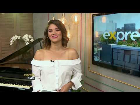 Silver Falcons Langebaan Air Show