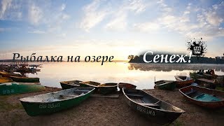 Прикормка для рыбалки в московской области