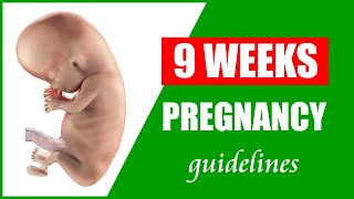 9 Weeks Pregnant – Pregnancy Symptoms and Baby Size | Belly Size Bump and Baby Movement
