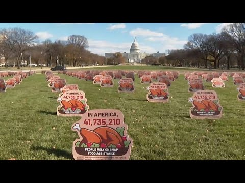 Thanksgiving-Plakate zeigen Folgen verzögerter SNAP-Hilfen: „Milliardäre essen zuerst“