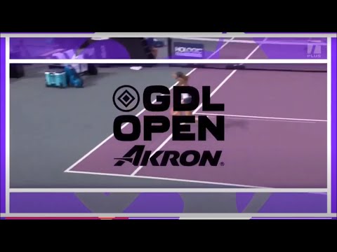 Luisa Stefani's Incredible Point