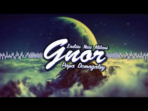 ENDRIU x Nari and Milani - Gnor (PAPA x Domagalsky Refresh 2k19)