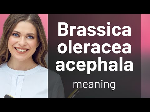 Brassica oleracea acephala — definition of BRASSICA OLERACEA ACEPHALA