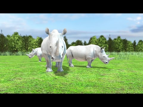 UK scientists attempting IVF method to save northern white rhino from extinction