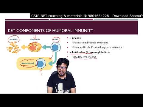 Inflammation animation Steps of inflammatory response Shomu s Biology