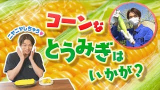 【澤夏も思わずニヤニヤ！】超甘とうもろこし収穫＆絶品料理登場！