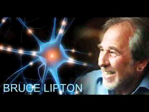 LUXE FUTURA - 03. Bruce Lipton (Bineural Music)