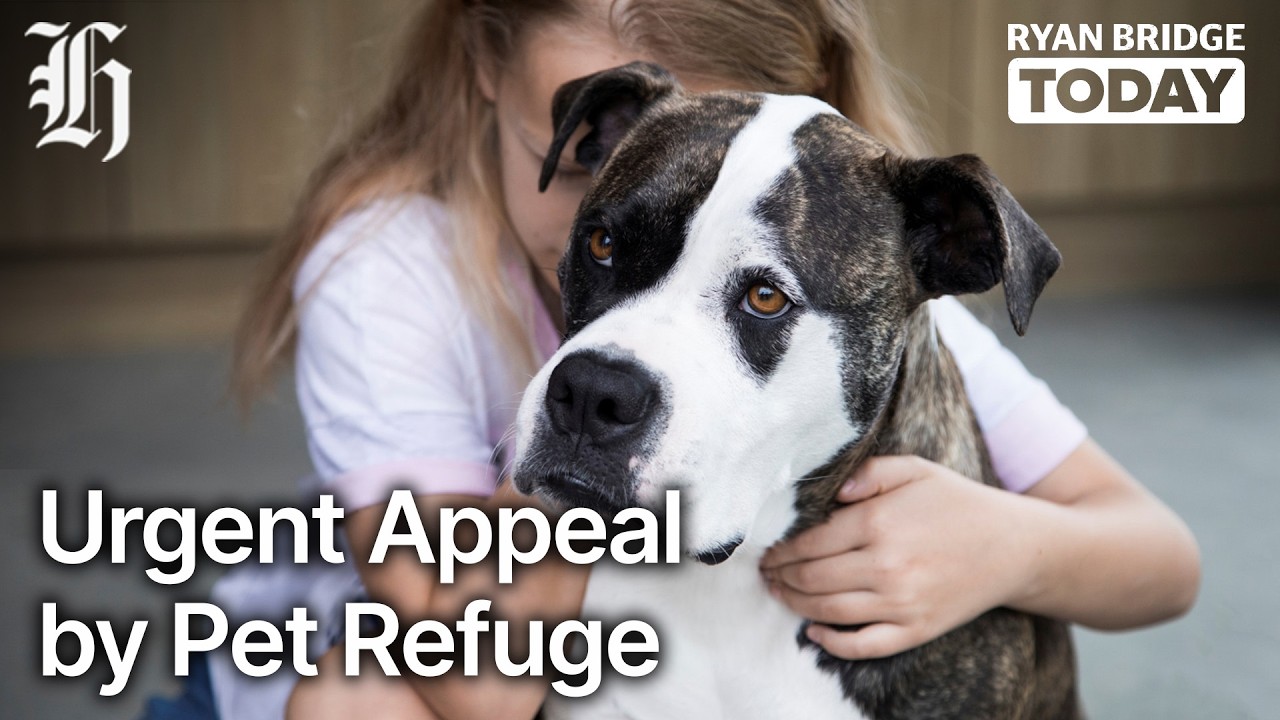 Urgent appeal for animals escaping family violence | Ryan Bridge TODAY