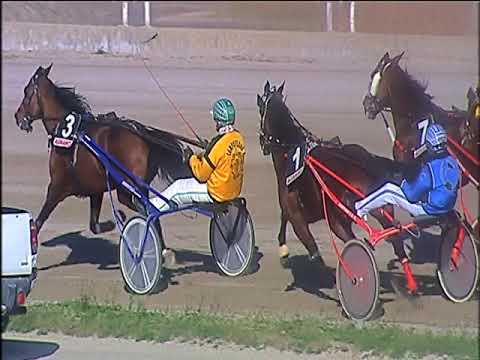 Trotto 24/12/2019 - 2ª corsa