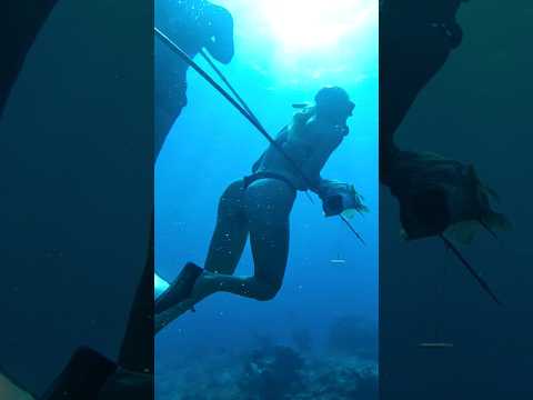 I should have listened! Spearfishing fail.