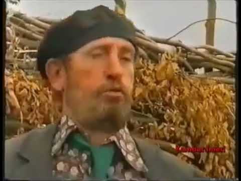 Cima & Leci & Sabria ( Humor i Vjeter )