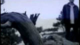 Nordman Det sista du ser - Orginal