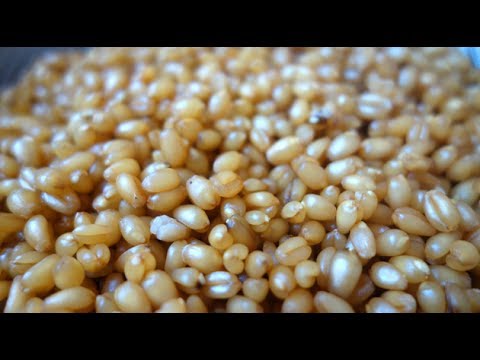 Tajna brzog kuvanja žita