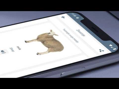 Učiti Engleski Video