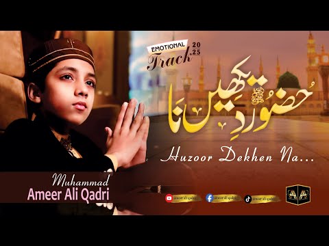 Very Heart Touching Kalam - Huzoor Dekhen Na - Ramadan New Naat 2025 - Muhammad Ameer Ali Qadri
